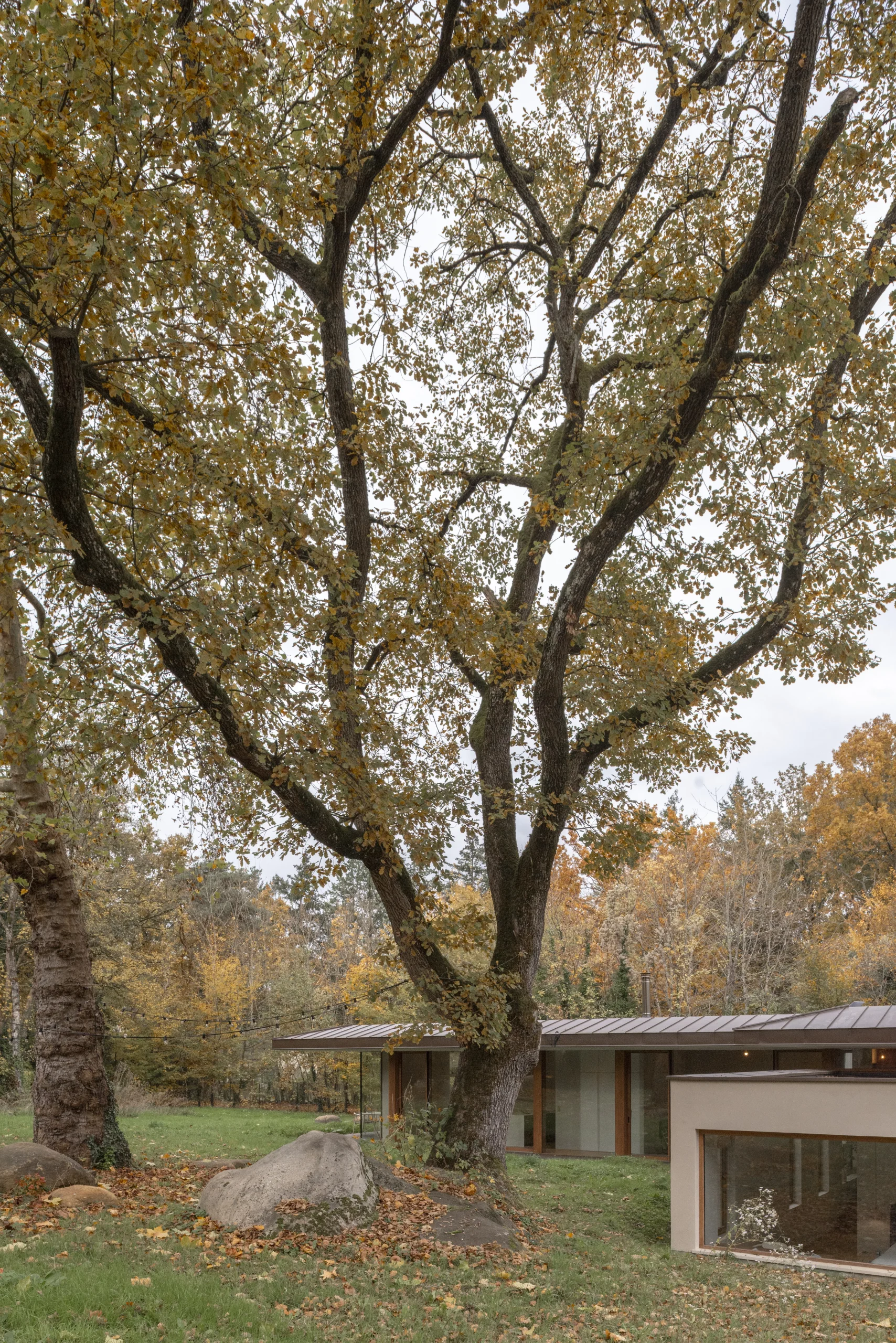 Sous les Ailes – Maison bioclimatique en béton chanvre
